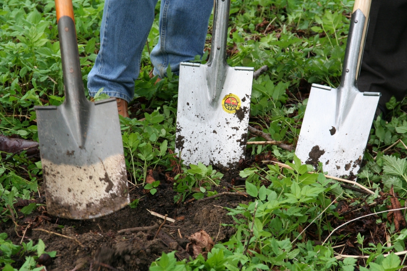 pepiniere-CLAVIERS-min_work-lawn-flower-tool-green-backyard-1103633-pxhere.com